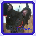 Tritan-s.jpg
