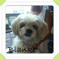 blanket-sb.jpg