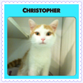christopher-z.jpg