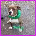 betty-small-photo.jpg