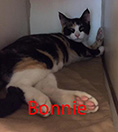 bonnie.jpg