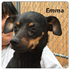 emma-small.jpg