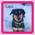 lexi-small.jpg