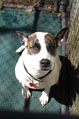 lily-small-photo.jpg
