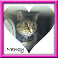 nancy010713-sb.jpg