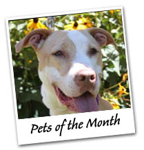 Pets of the Month