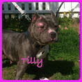 tilly-small.jpg